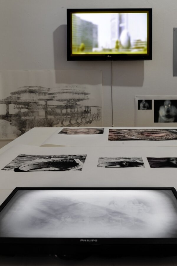 Foto: M. Dvořáková